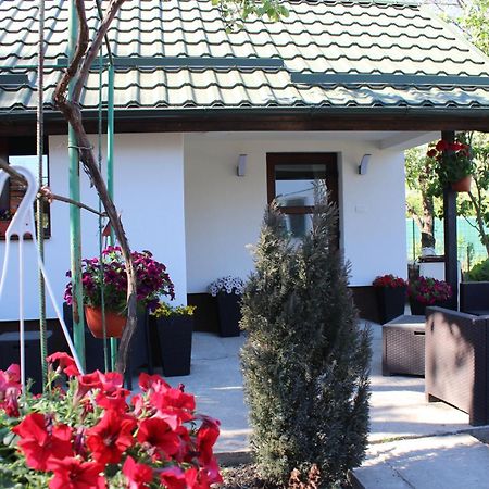 Casuta Artistilor Villa Breaza  Exterior foto