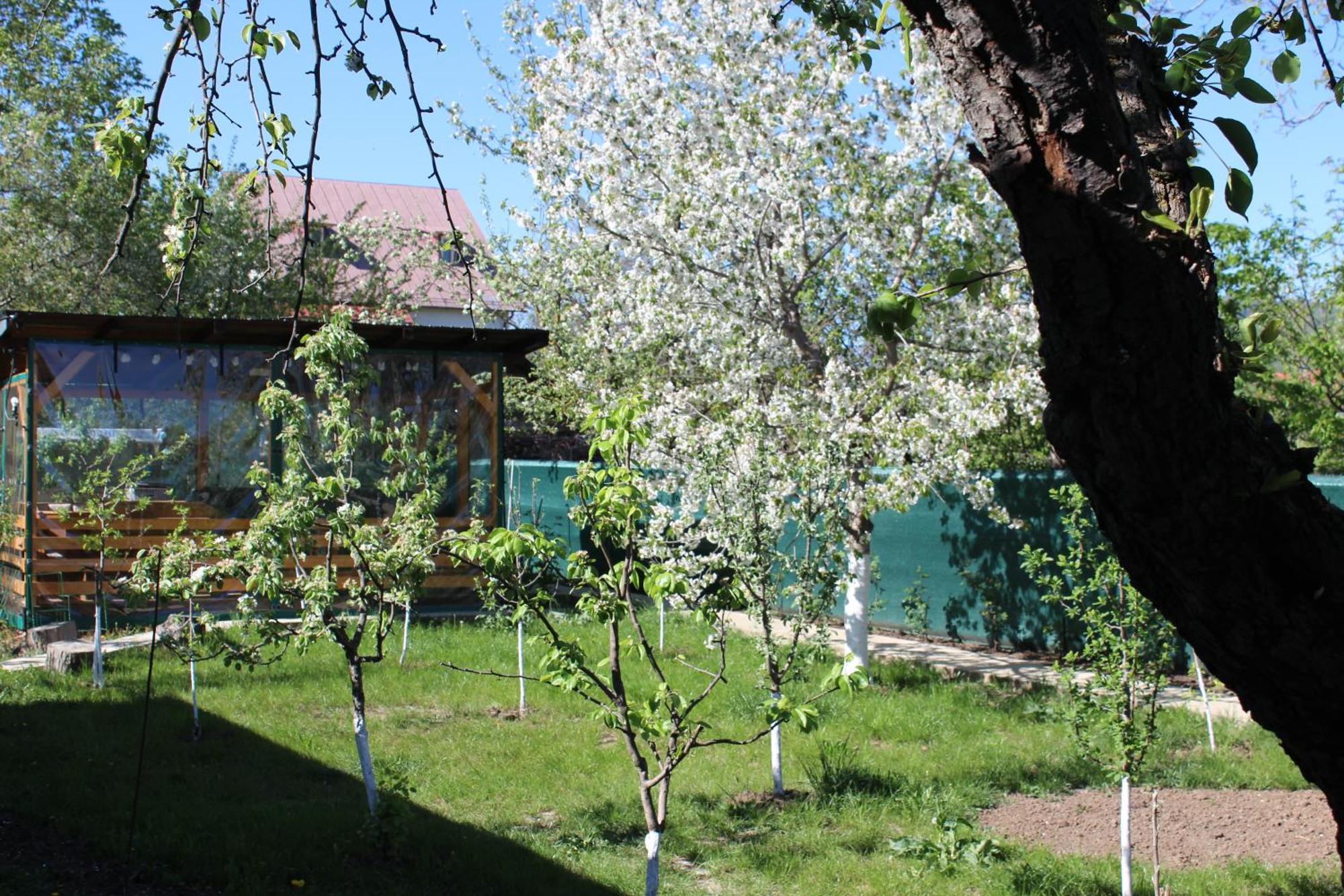 Casuta Artistilor Villa Breaza  Exterior foto