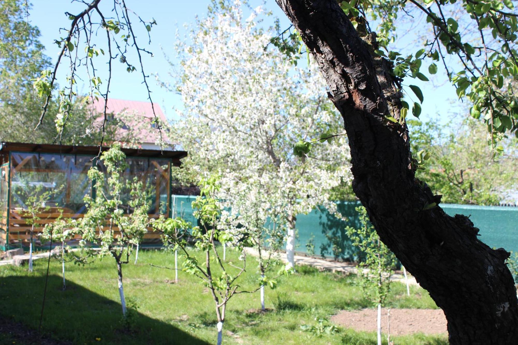 Casuta Artistilor Villa Breaza  Exterior foto
